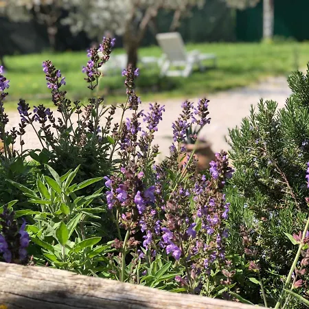Ferienwohnung Locazione Turistica Sita In Via Ponte Di Ferro 2 A Gualdo Cattaneo Exterior foto
