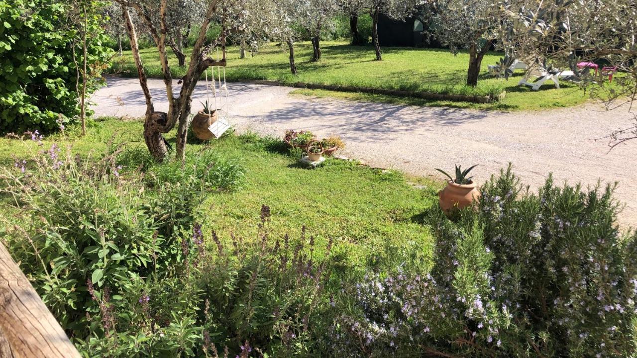 Locazione Turistica Sita In Via Ponte Di Ferro 2 A