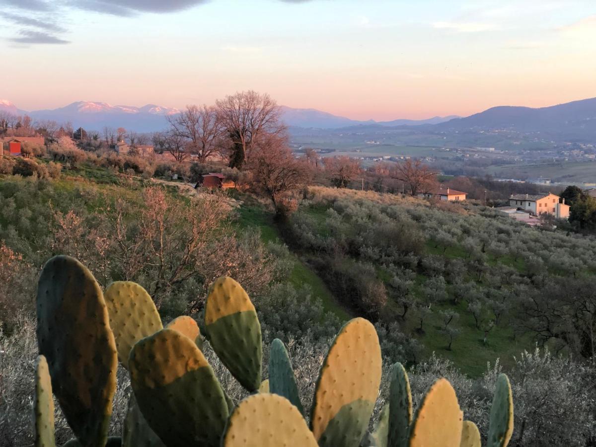 Locazione Turistica Sita In Via Ponte Di Ferro 2 A