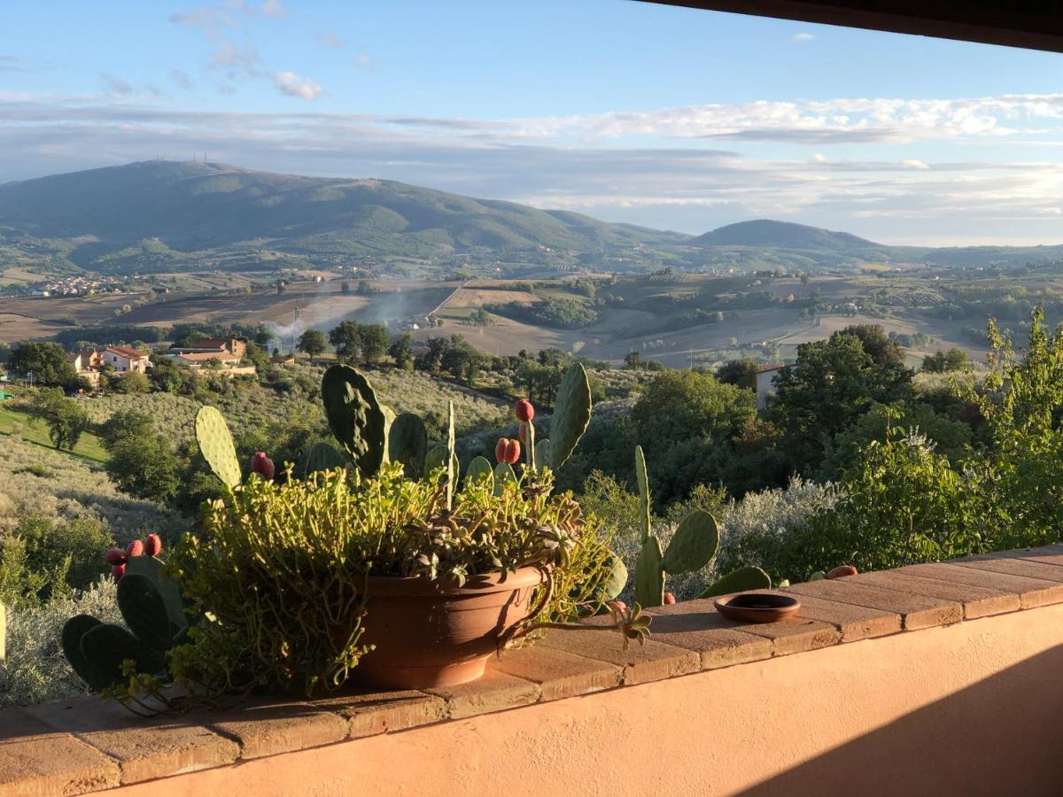 Locazione Turistica Sita In Via Ponte Di Ferro 2 A Apartment
